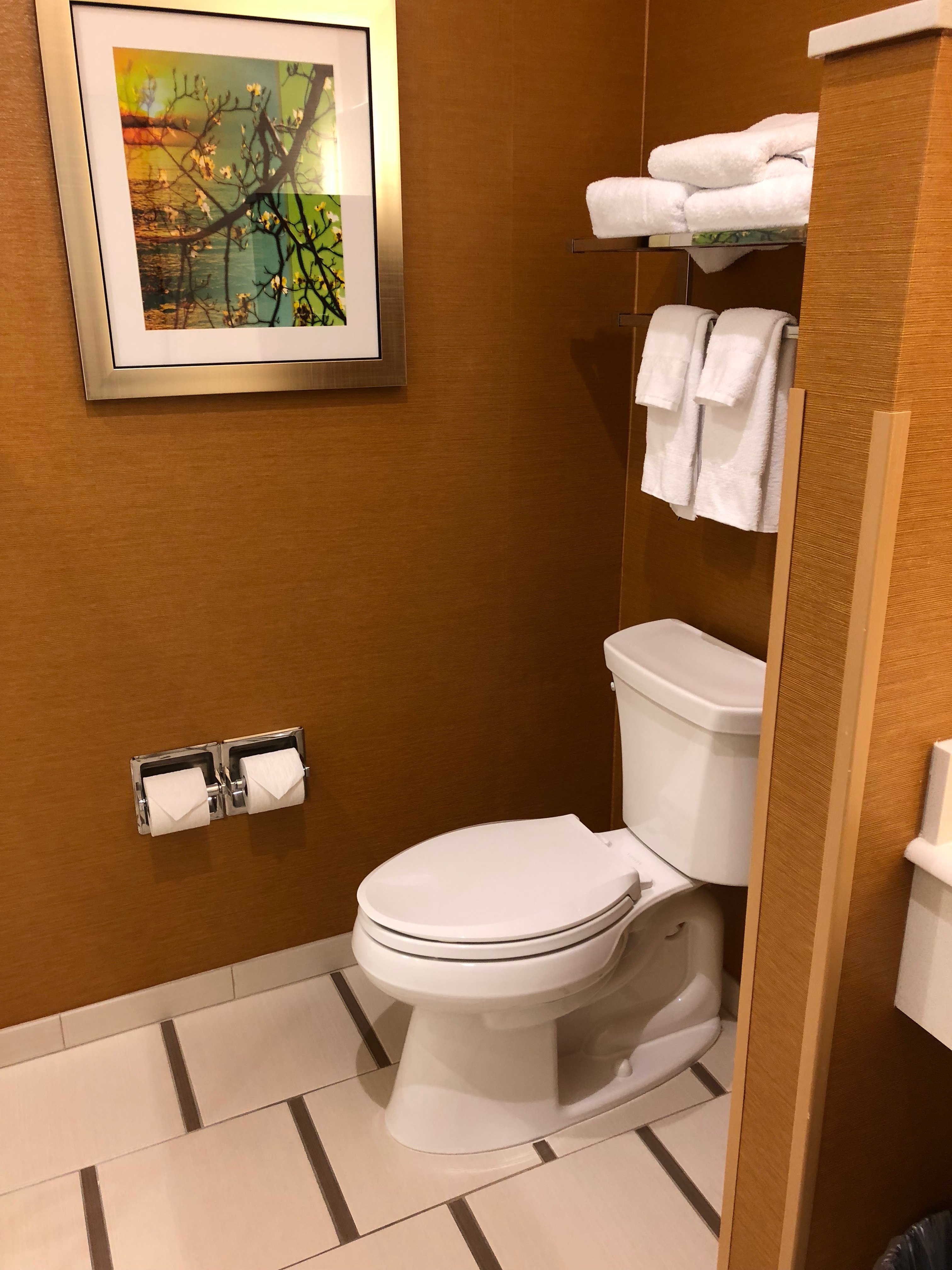 Fairfield Inn & Suites Sacramento Airport Woodland-浴室