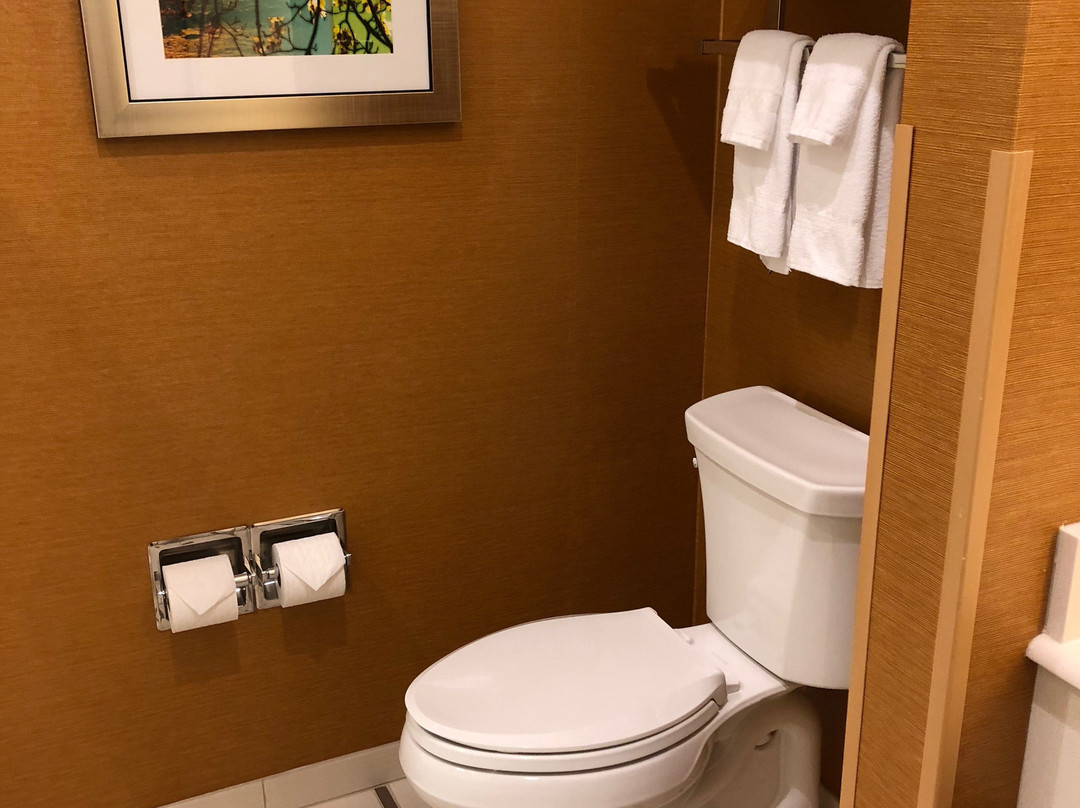 Fairfield by Marriott Inn & Suites Sacramento Airport Woodland主图
