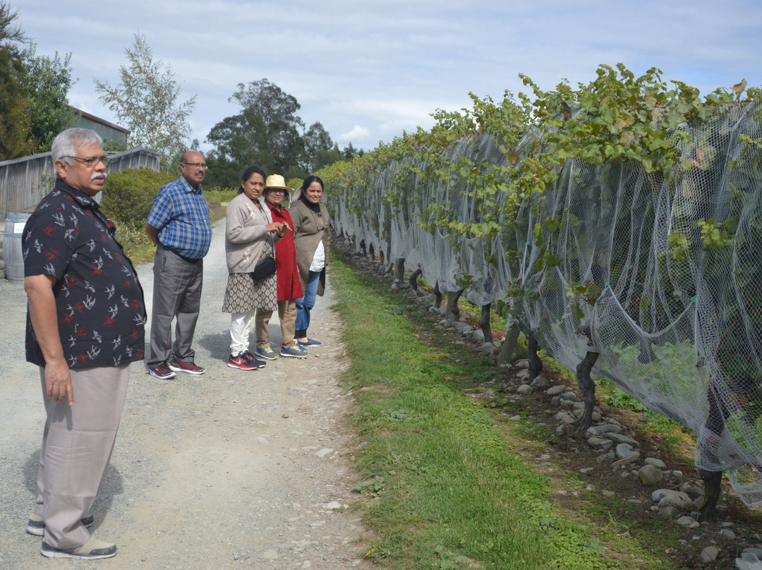 Brightwater Vineyards-尼尔森必去景点