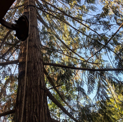 Free Spirit Spheres Inc.主图