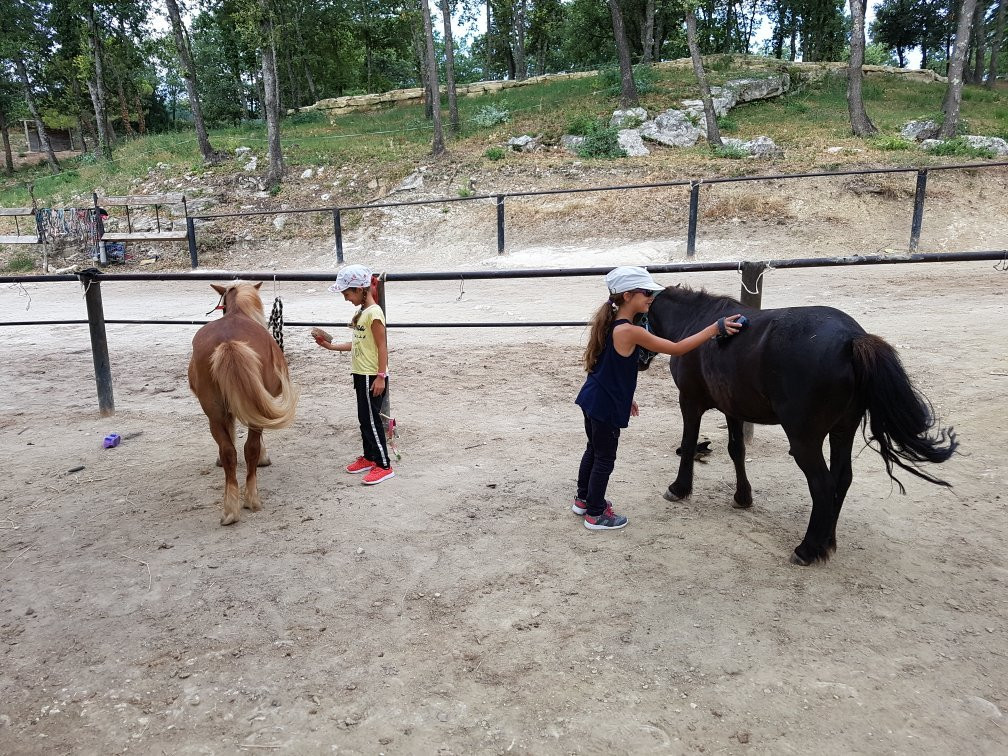 Centre Equestre Des Chimères景点图片