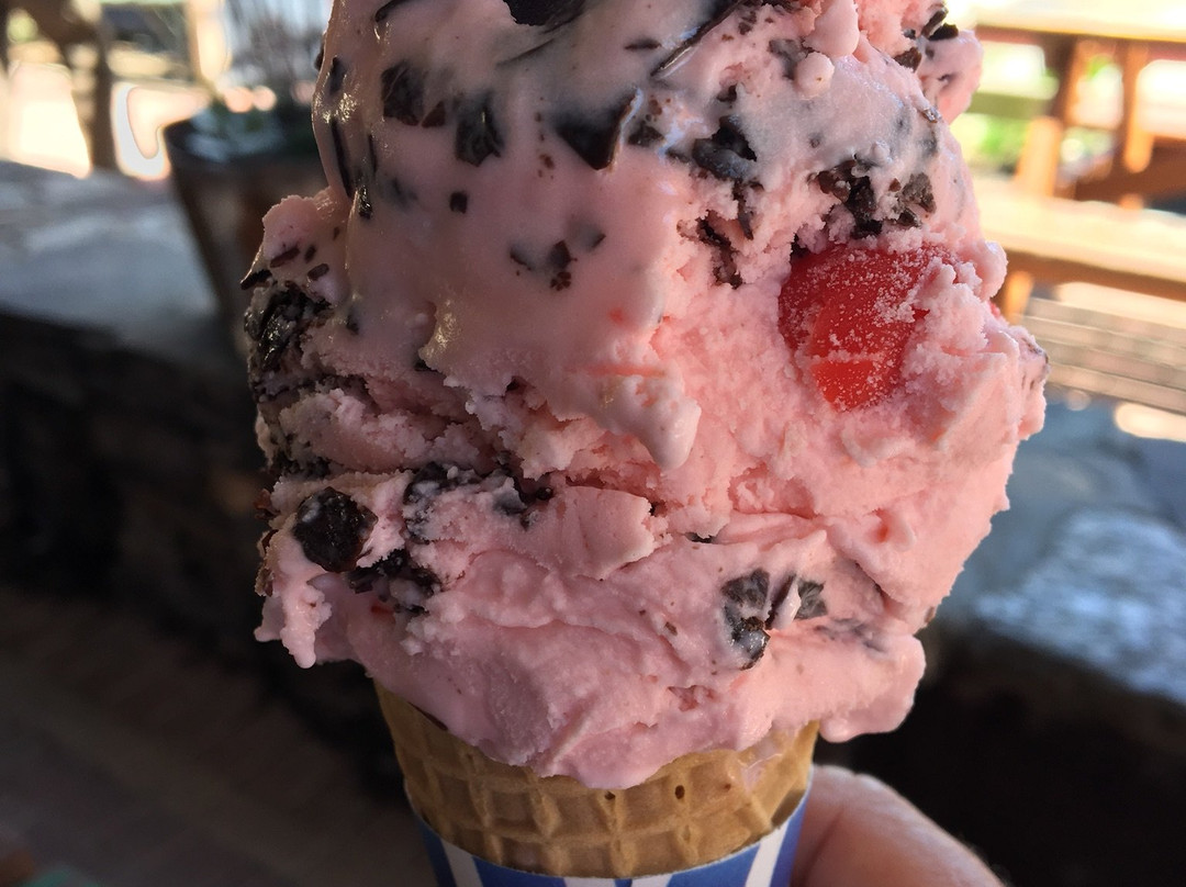 Wells Hollow Creamery-谢尔顿必去景点