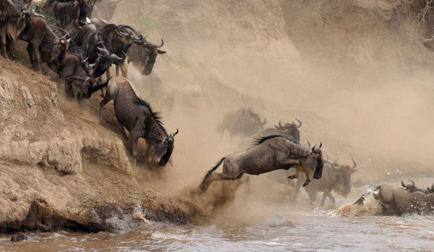 Dallago Tours Kenya Tanzania Limited