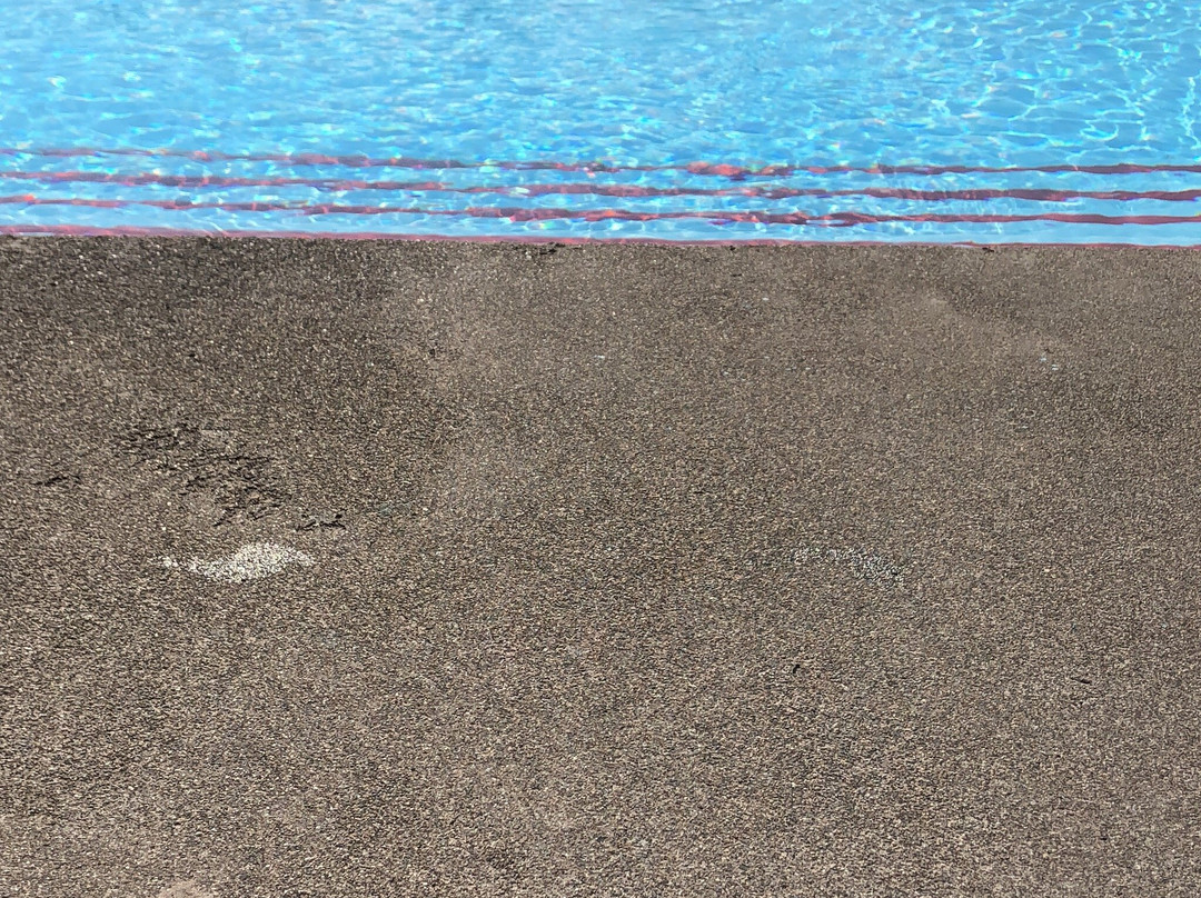 Piscine de Monthey-蒙泰必去景点