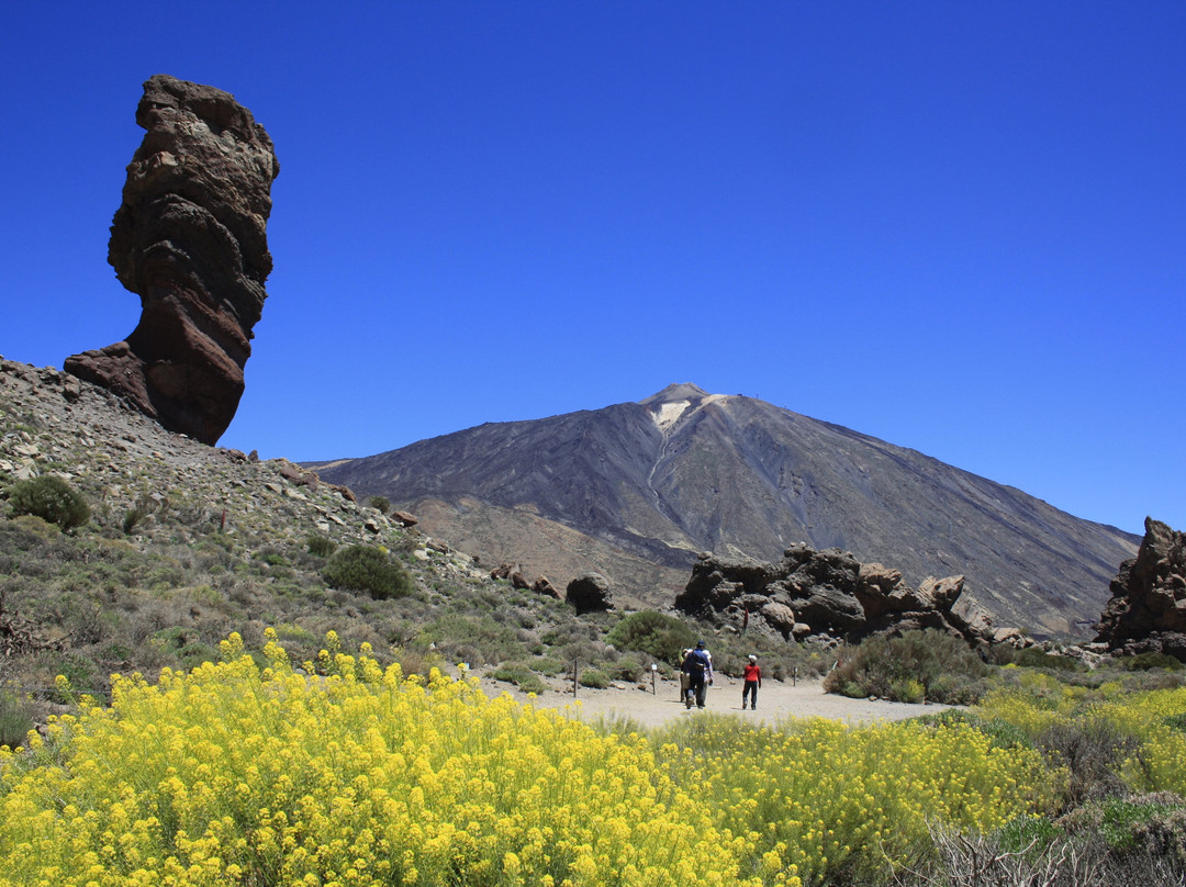 Canarias Nature Guides