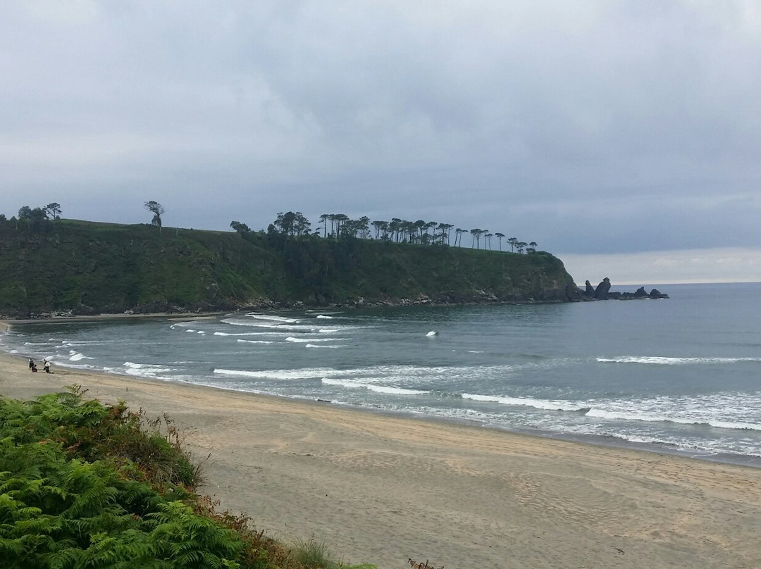 Playa de Barayo景点图片