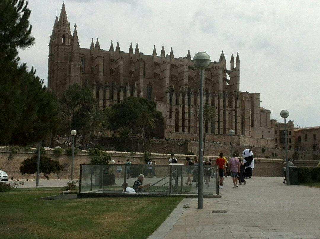Palma Di Maiorca-San Giorgio a Liri必去景点
