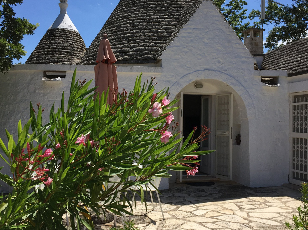 Azienda Agricola Biologica IL Frantolio DI D'amico Pietro-Cisternino必去景点