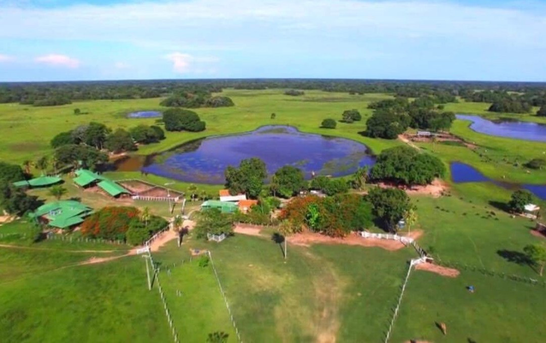 Pantanal Discovery-大坎普市必去景点