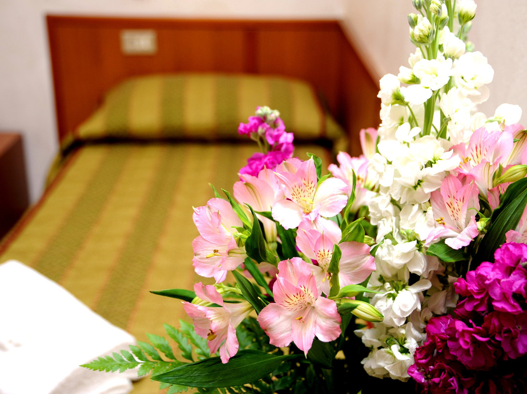 圣西罗菲耶拉酒店主图