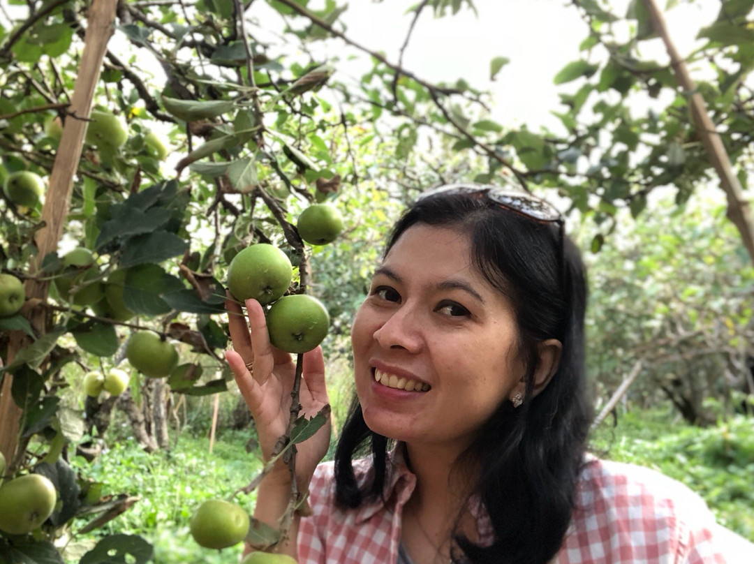 Wisata Petik Apel Makmur Abadi-巴图必去景点