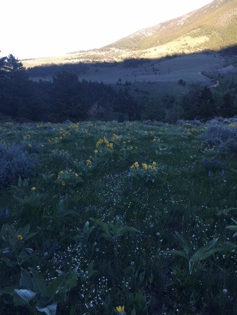 Two Bears Inn Bed & Breakfast主图