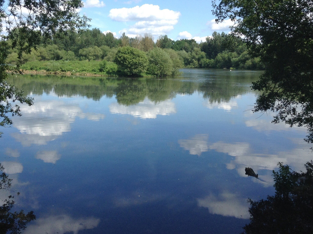 Loddon Nature Reserve-Twyford必去景点