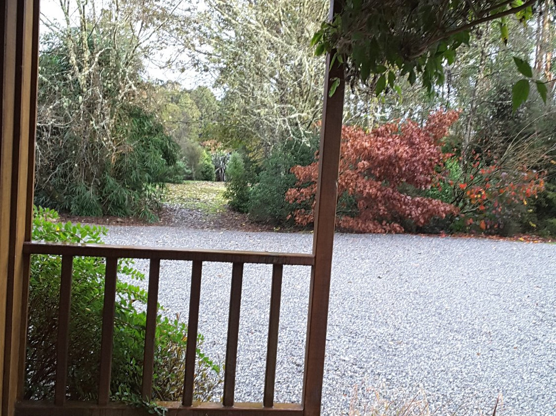Lake Brunner Country Motel & Holiday Park主图
