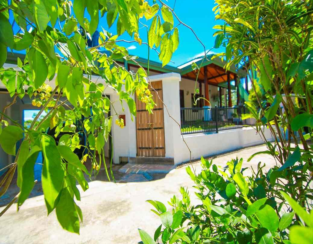 The Grand Hanthana主图