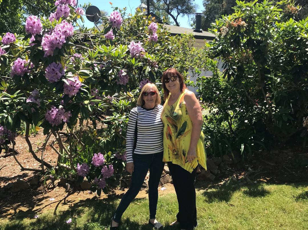 Park Victorian主图