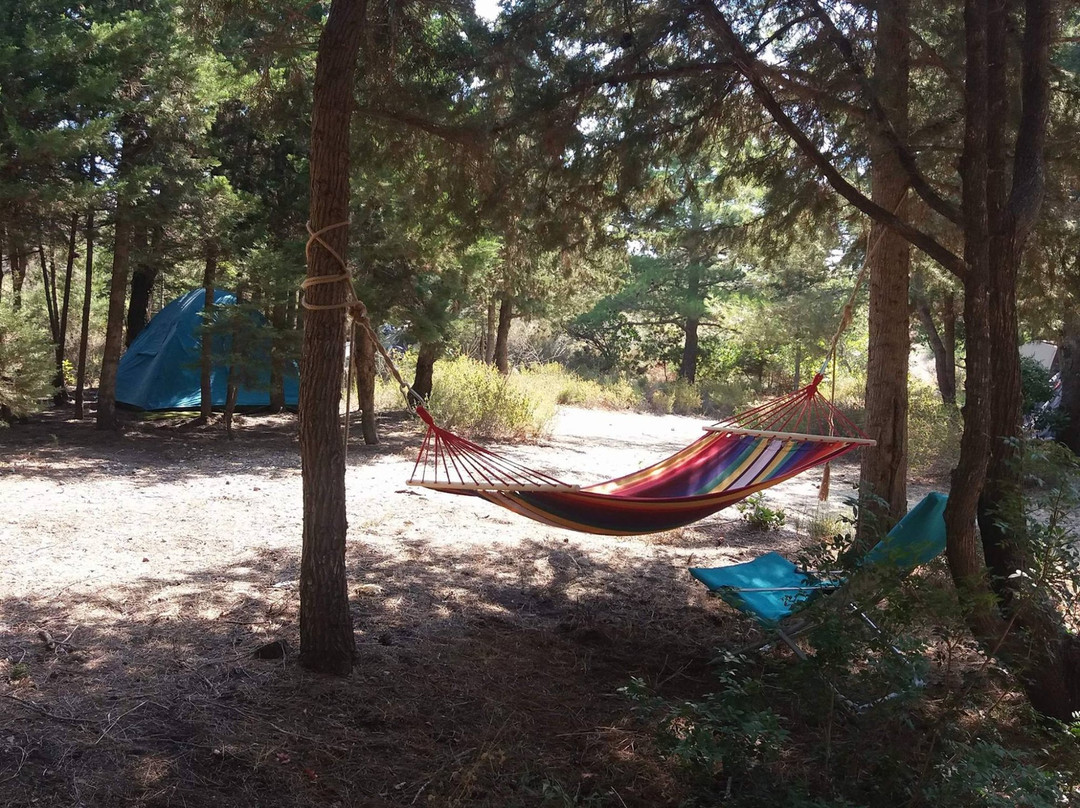 Drolma Ling-Theologos必去景点