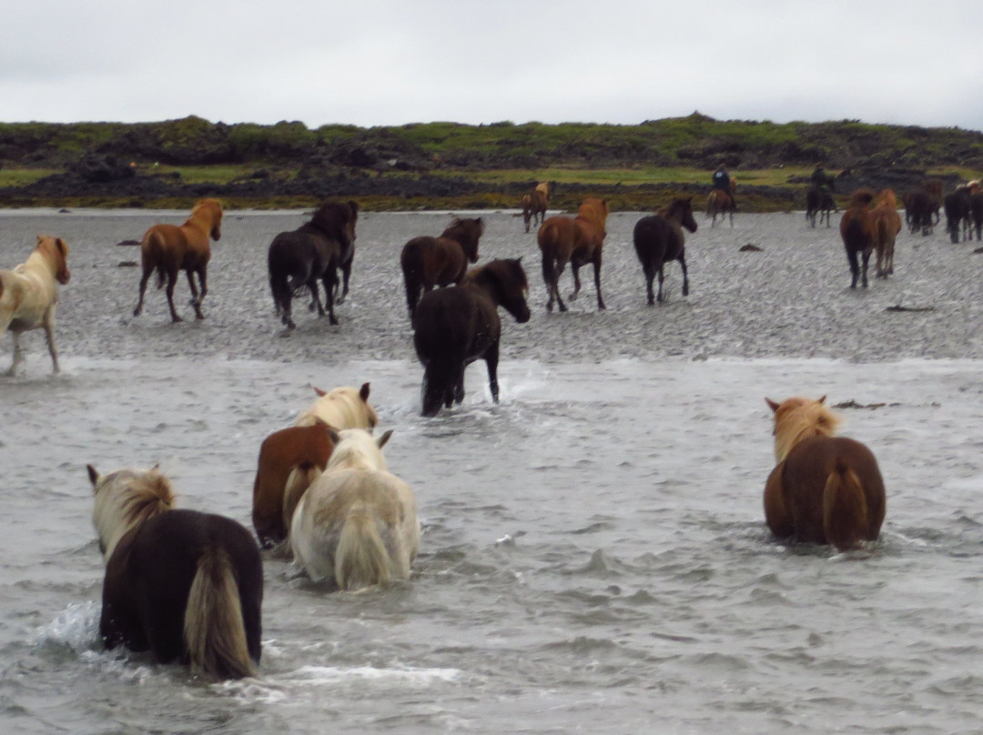 Stori Kalfalaekur-博尔加内斯必去景点