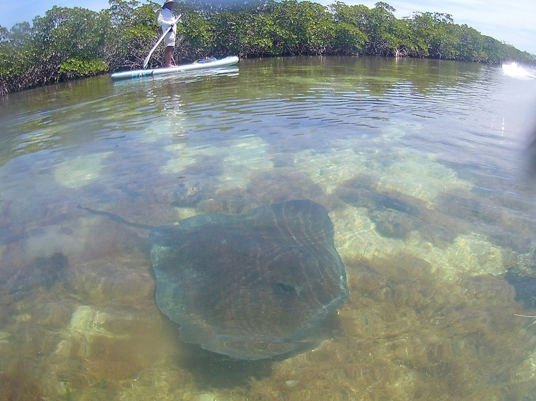 Biscayne National Park Institute景点图片