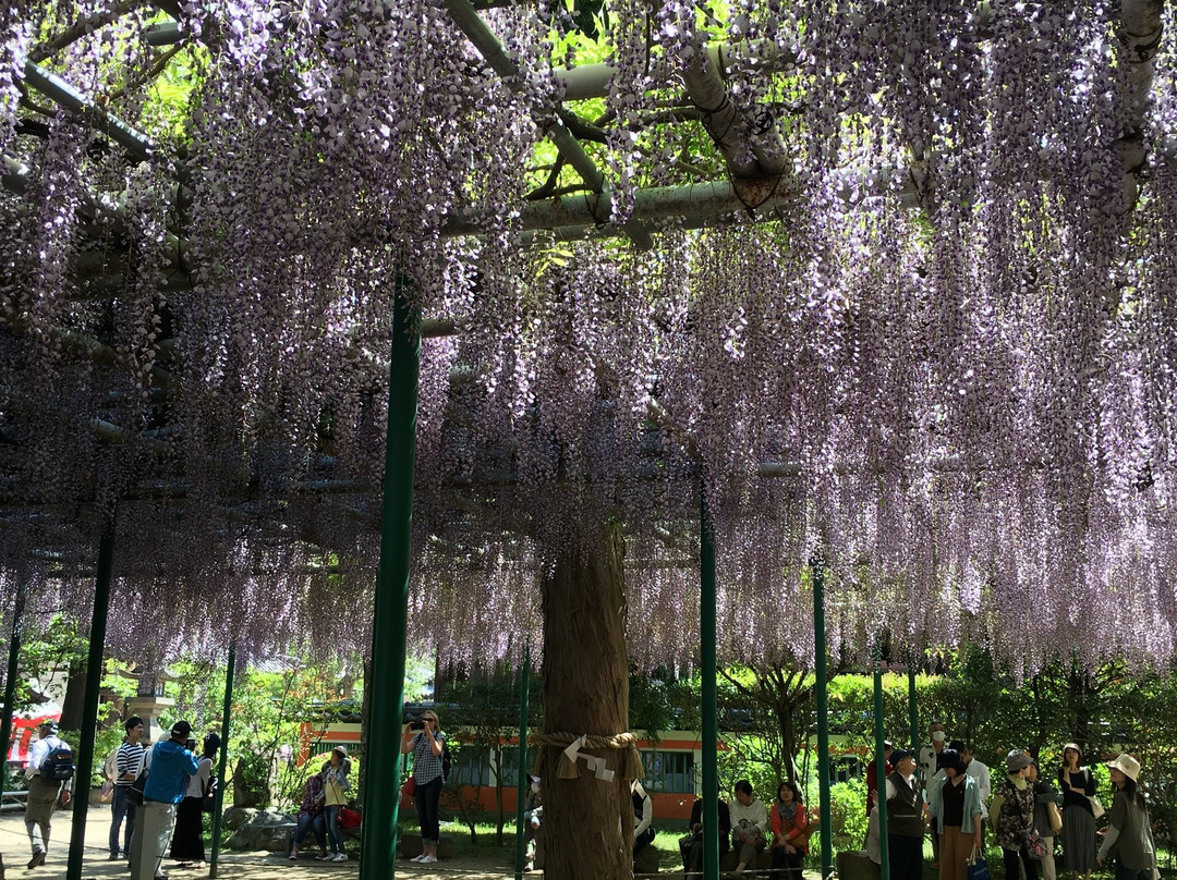 Sumiyoshi Shrine-明石市必去景点
