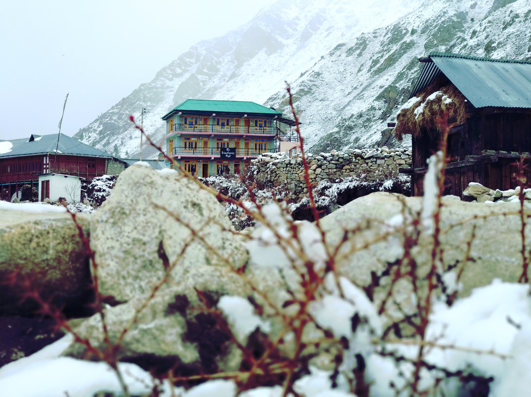 The Wanderer’s Nest主图