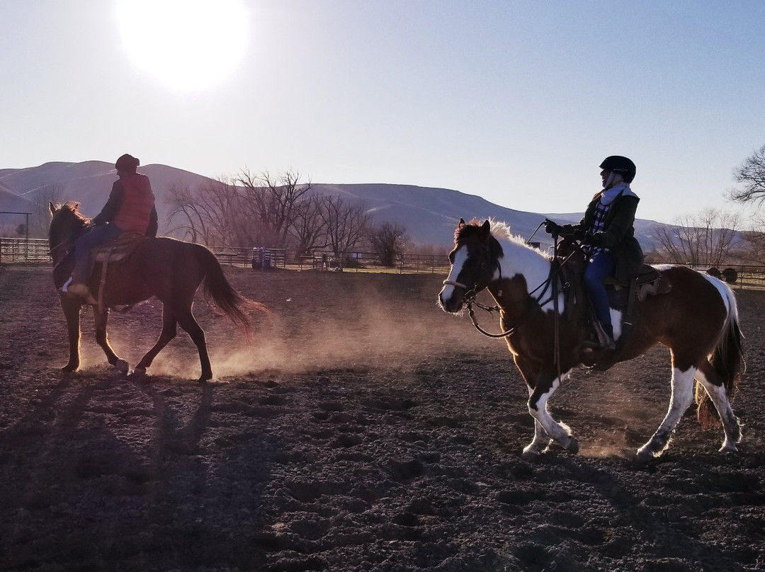 Kinship Trail Rides-埃伦斯堡必去景点