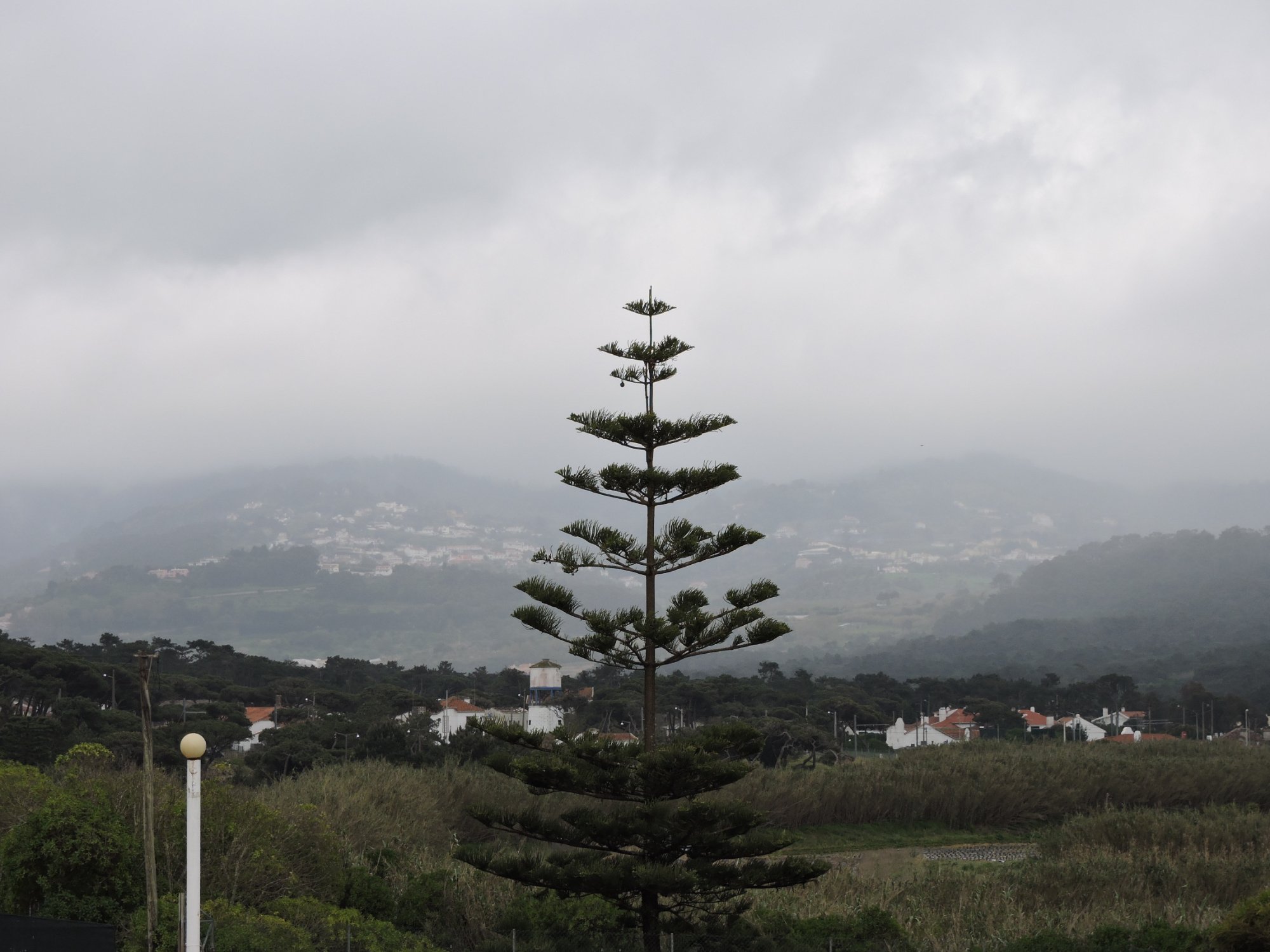 Sintra Sol-家庭/游戏区