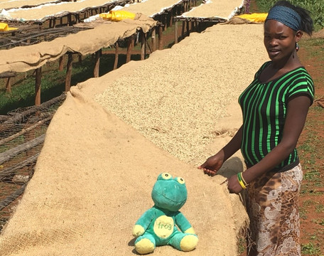 Quaffee-康士坦提亚必去景点