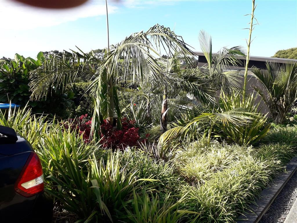 Cable Bay Views主图