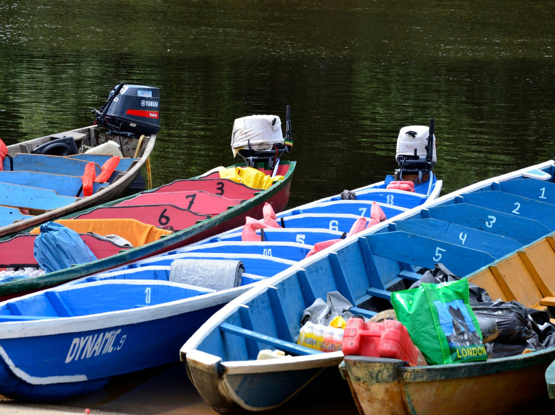 Waterproof Tours Suriname景点图片