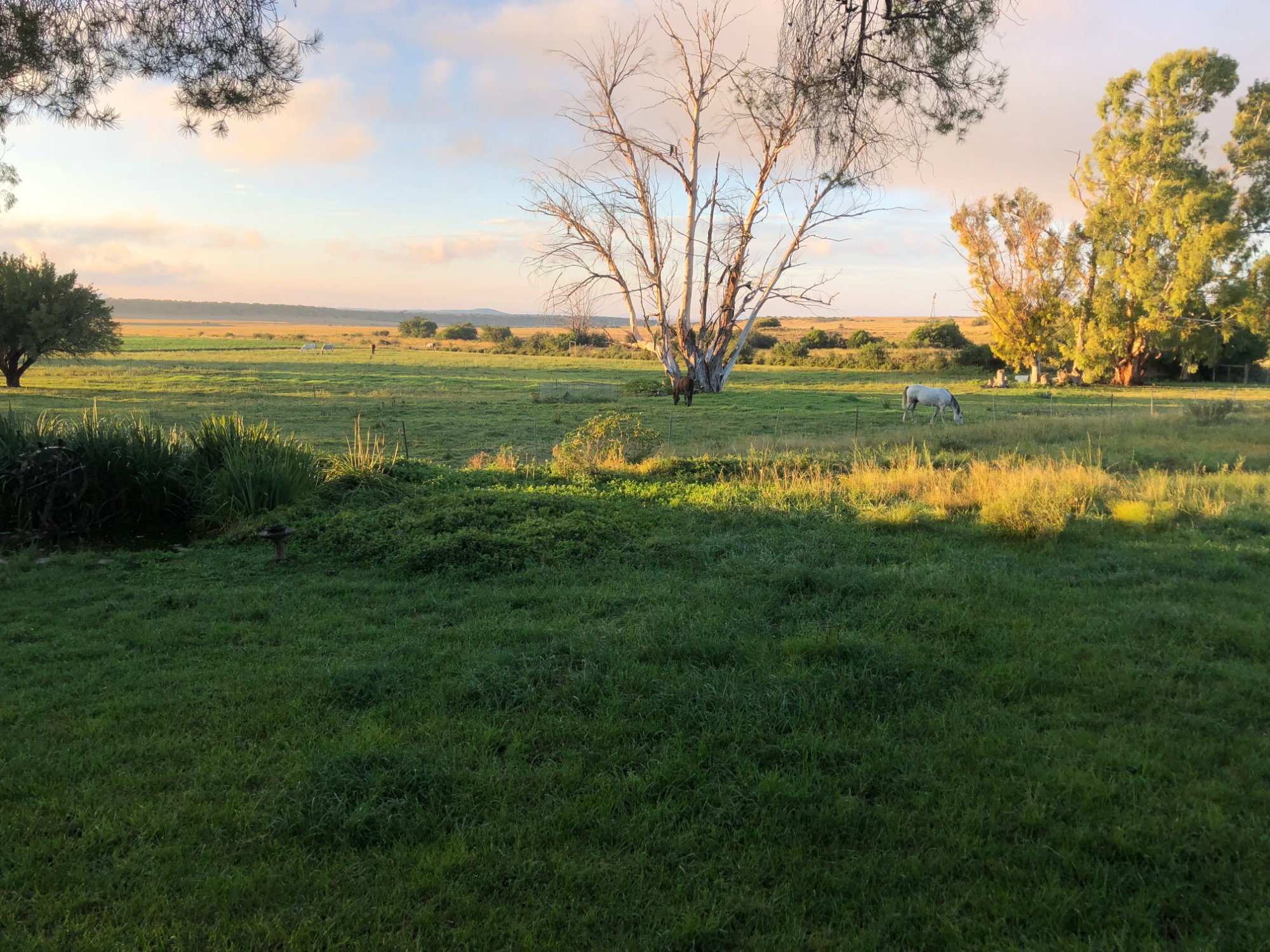 Garingboom Guest Farm-酒店景观