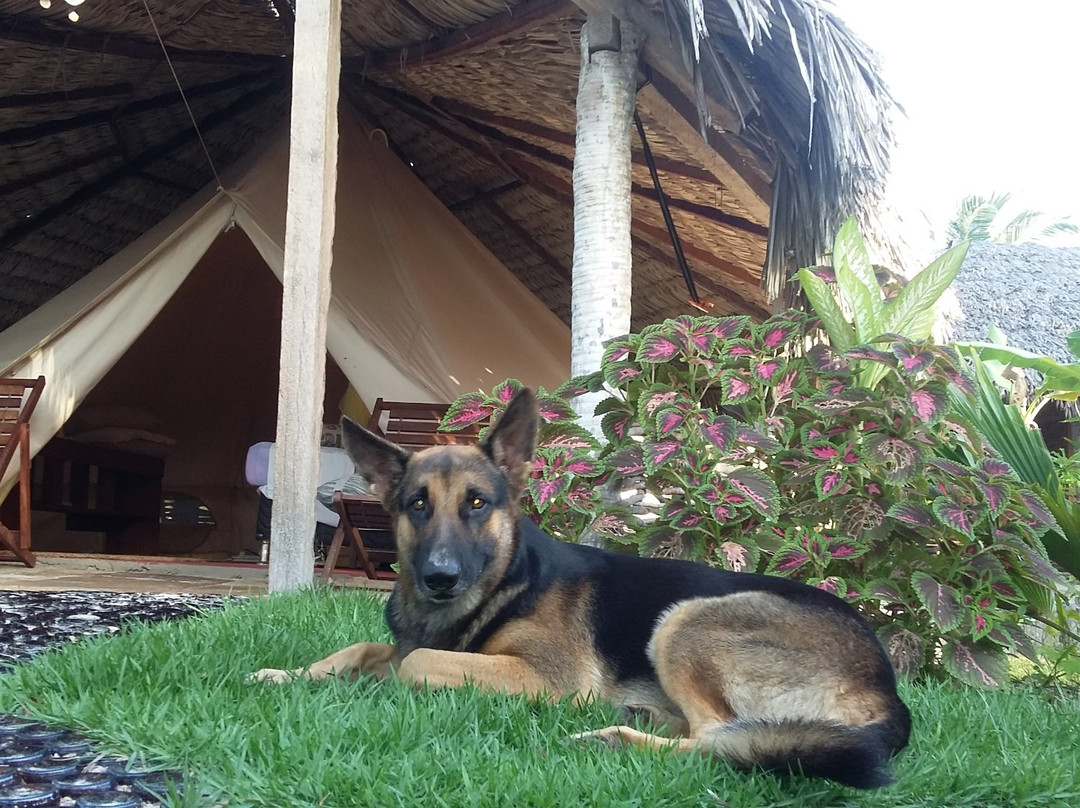 Pousada Guajiru Kite Safari主图