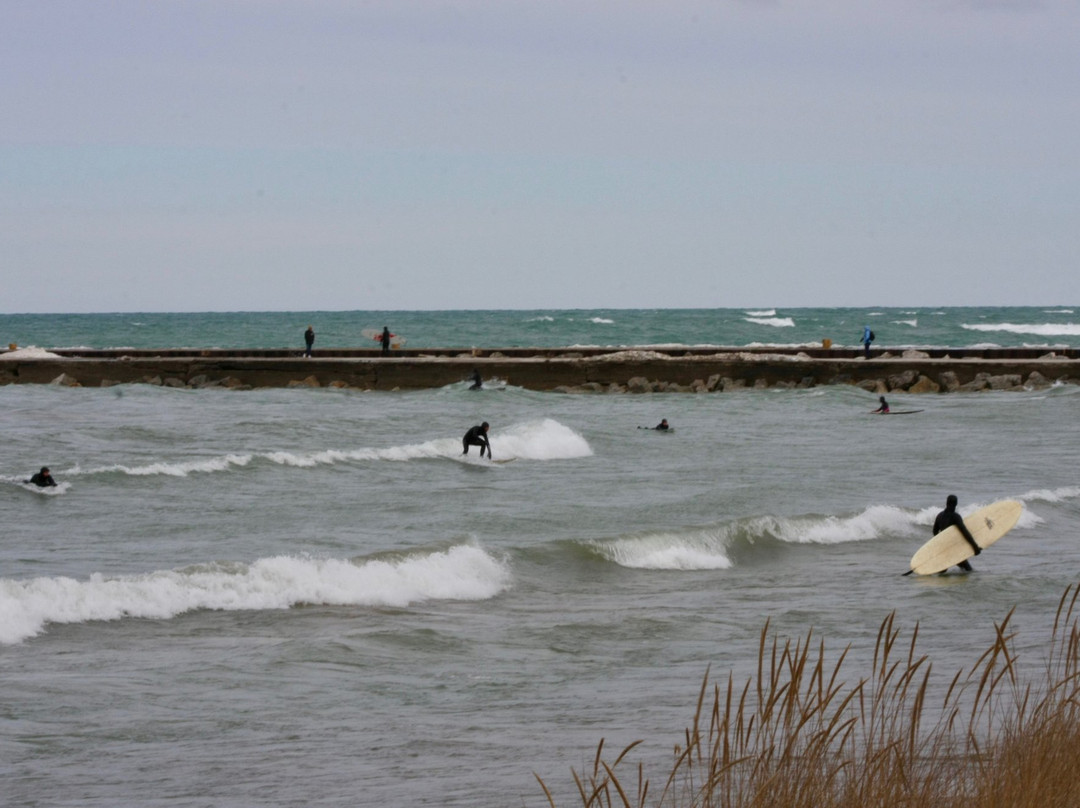 SURFSUP ECO SHOP景点图片