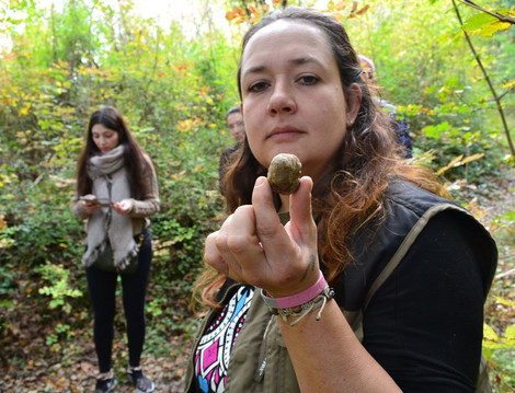 The Truffle Hunter-佛罗伦萨必去景点