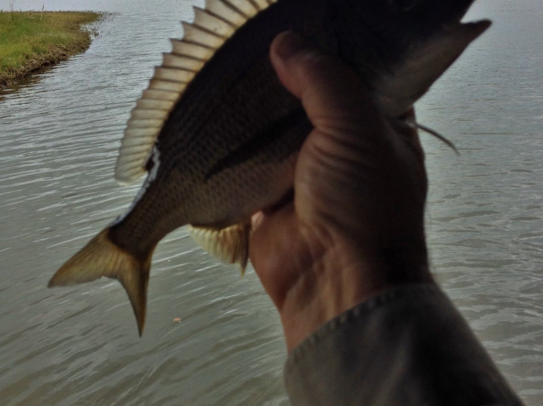 Painkalac Creek Nature Reserve-Fairhaven必去景点