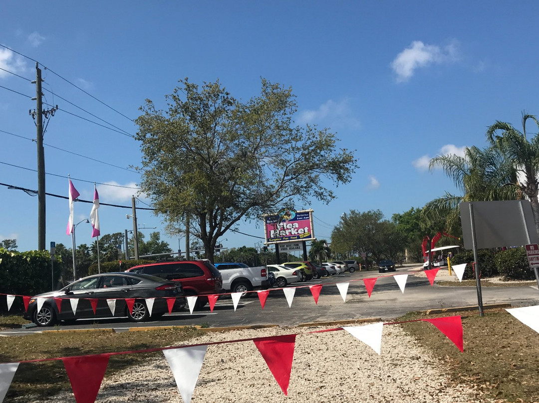 Flamingo Island Flea Market-博尼塔斯普林斯必去景点