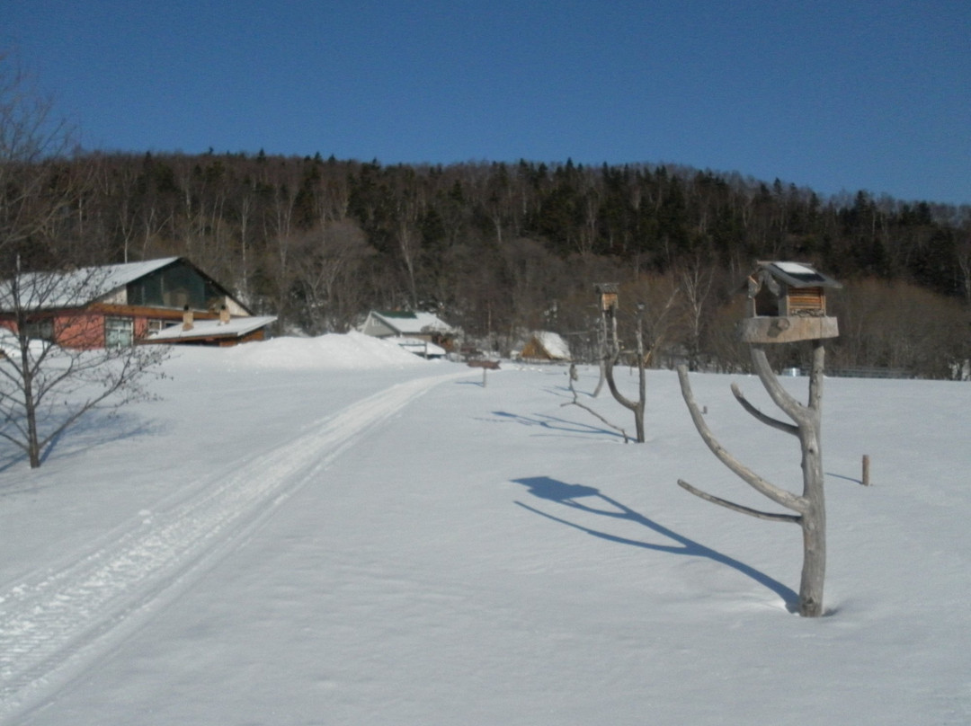 Novoselovo旅游攻略图片