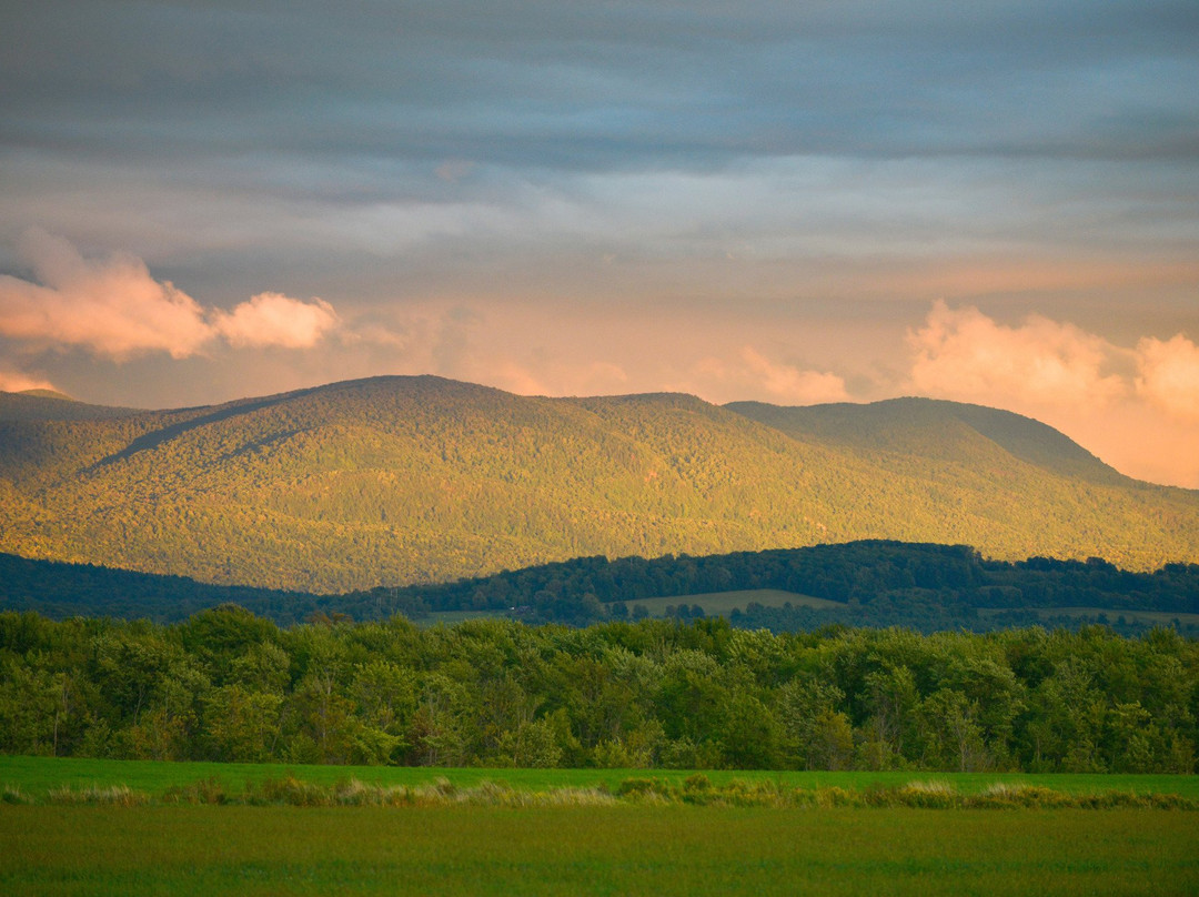 The Swallow's Nest主图