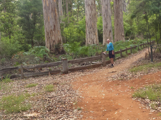 Glenoran Pool-Manjimup必去景点