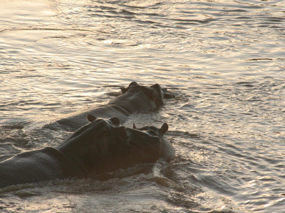 Mighty Safari-阿鲁沙必去景点