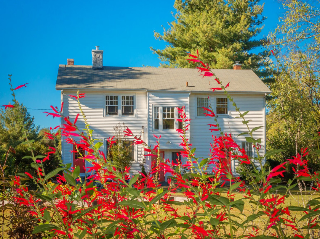 The Belle Of Hot Springs主图