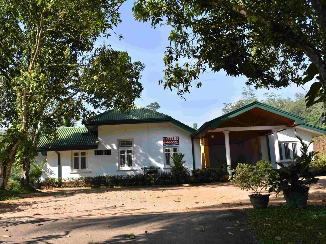 Lotus Resort主图
