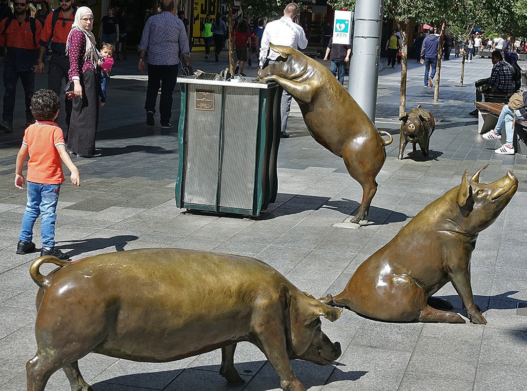 The Rundle Mall Pigs景点图片