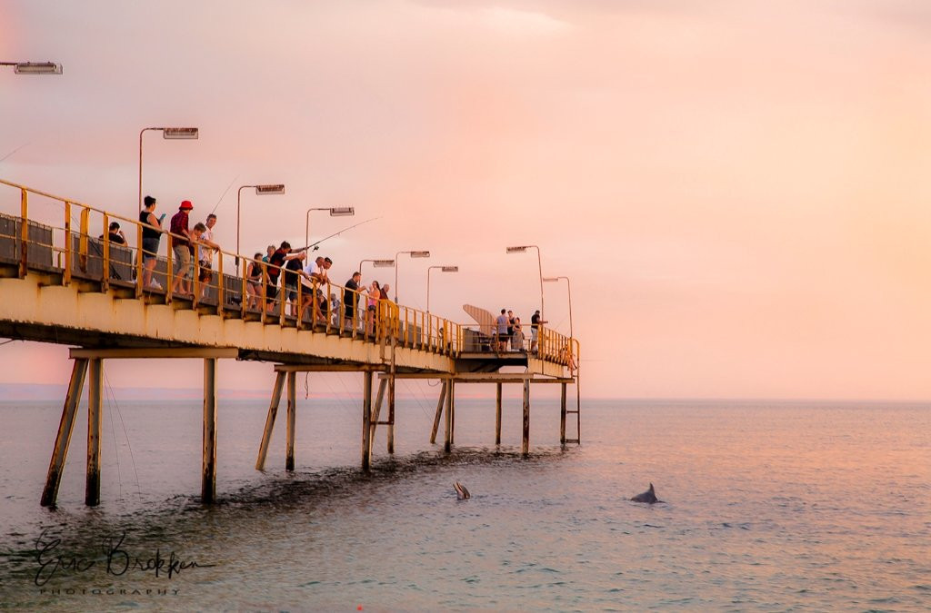 Foreshore Motor Inn主图