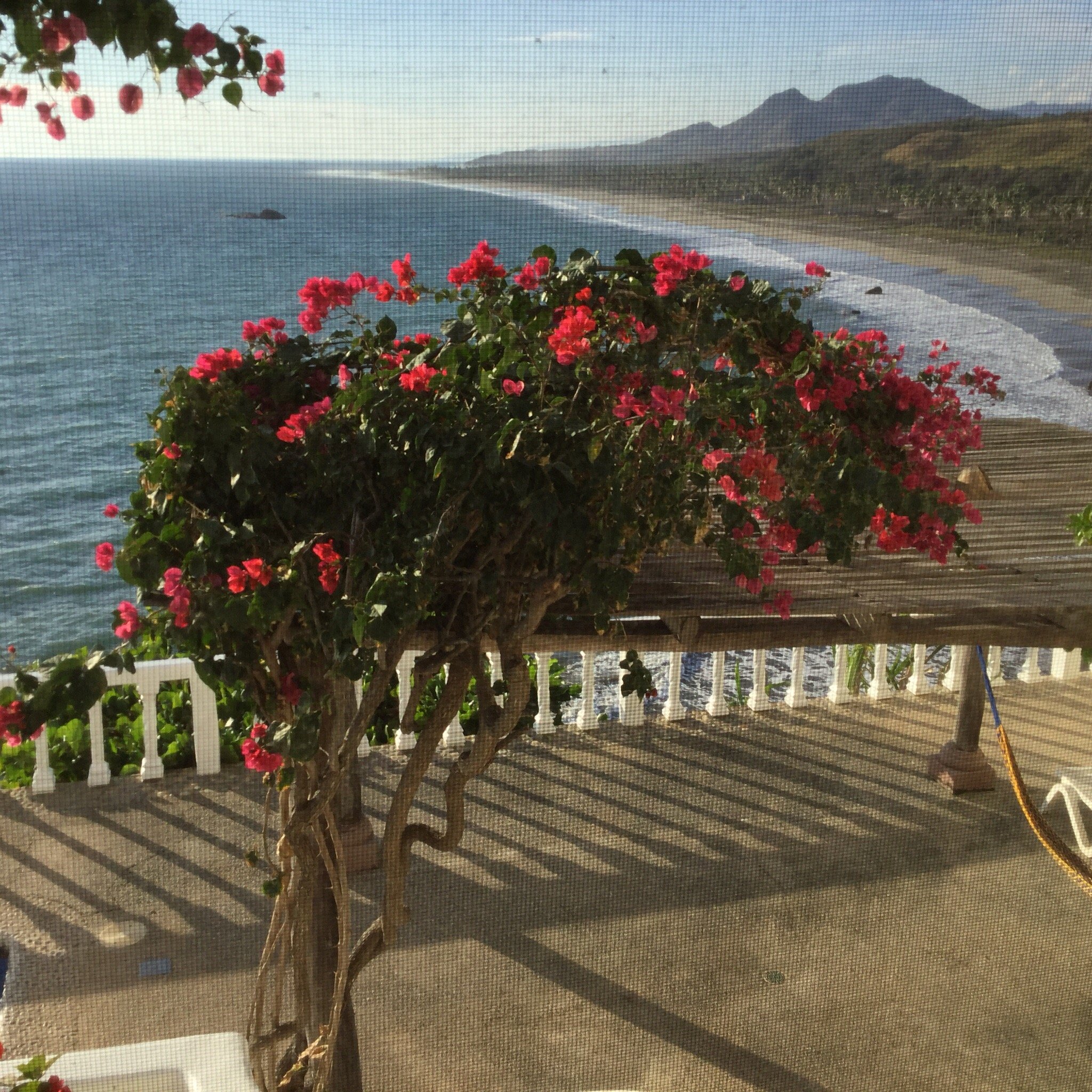 Casa de la Rosa-泳池