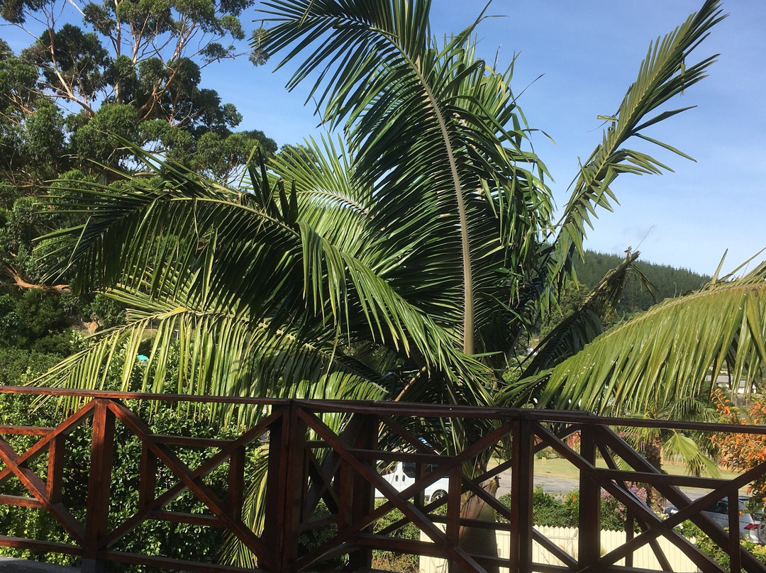 Sedgefield酒店住宿-Pelican Lodge