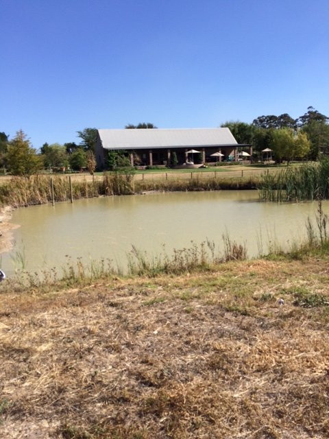 Ubuntu Horse Trails-斯泰伦博斯必去景点