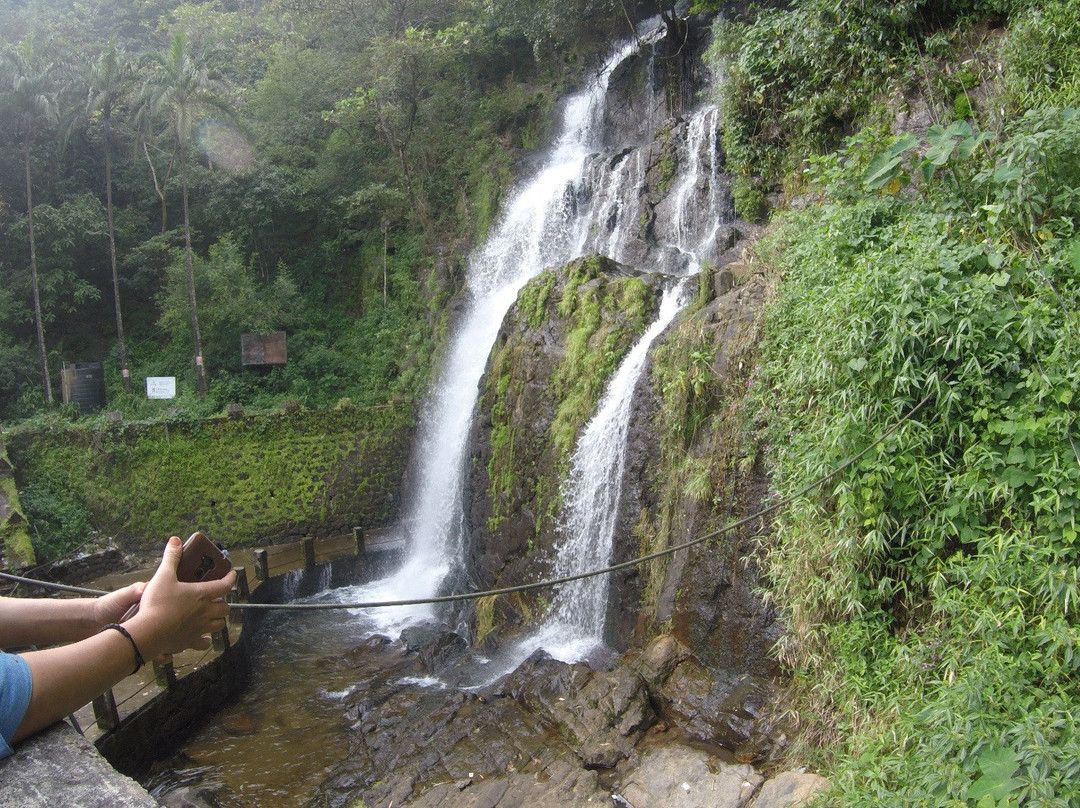 Pandikuzhi Waterfalls景点图片