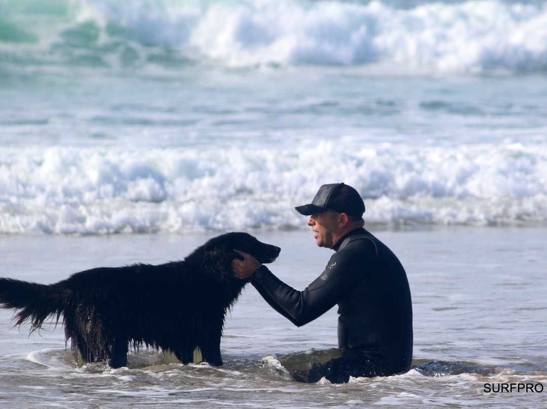 Surf Pro Surf School-里斯本必去景点