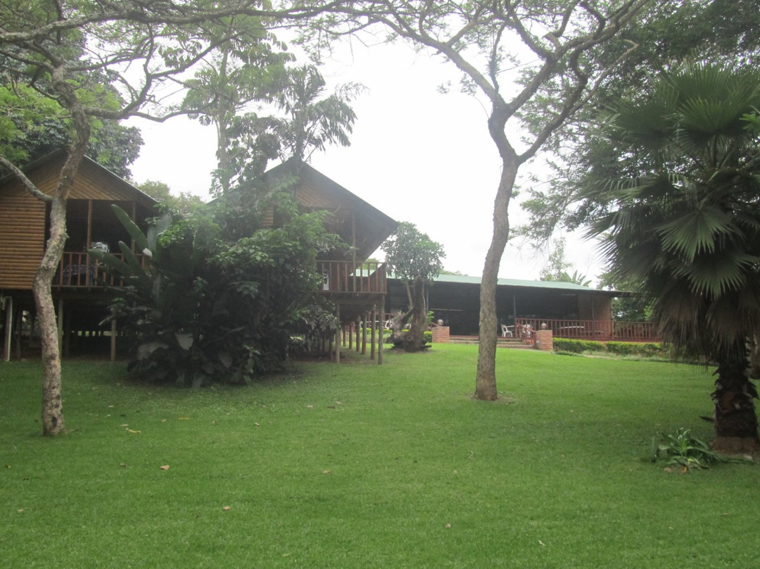 Hippo Water Front主图